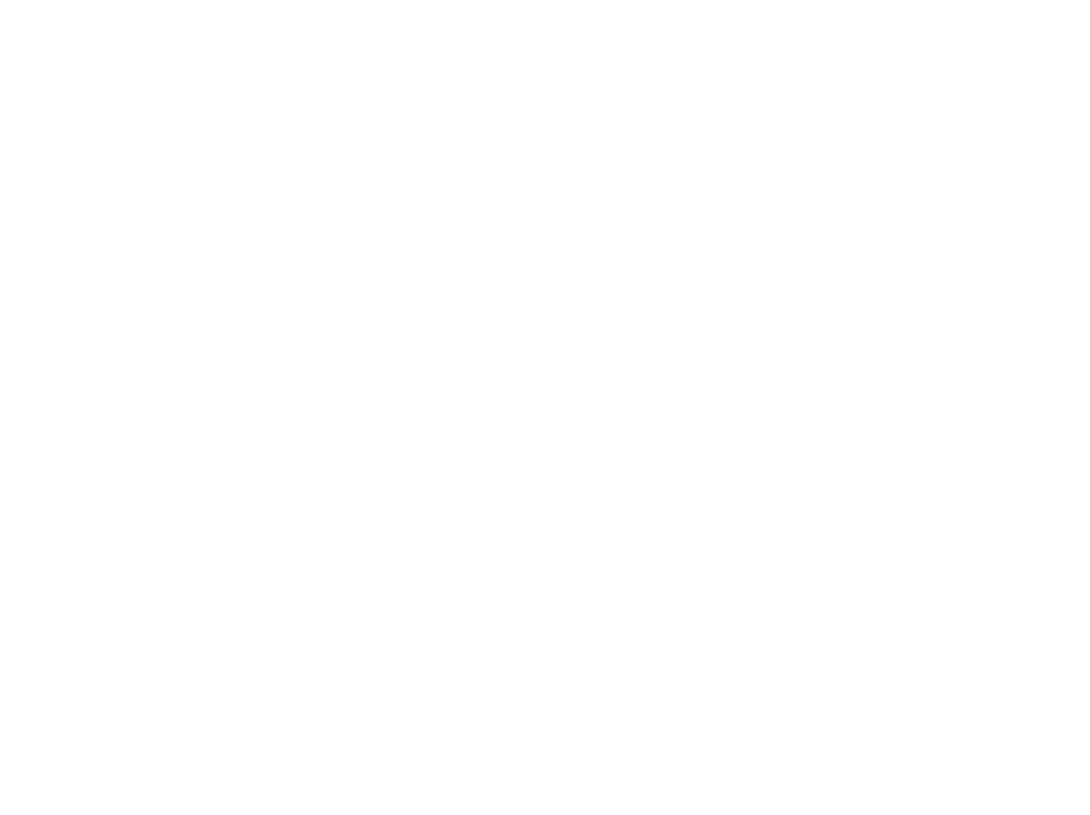 Flamenco Drone Service
